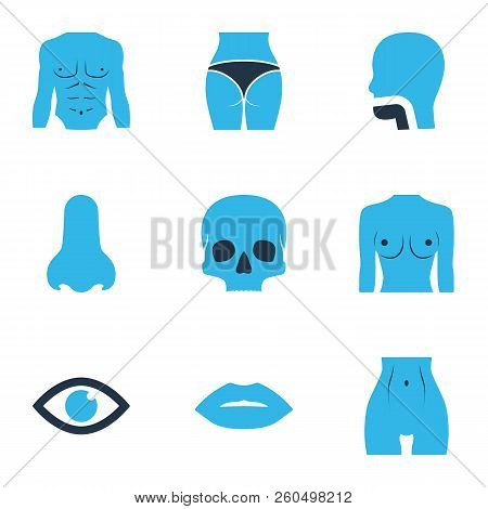 Body Icons Colored Set With Chest, Skull, Eye And Other Athletic Elements. Isolated Vector Illustrat