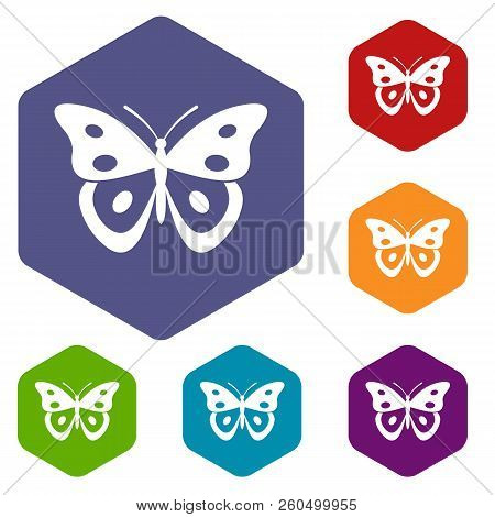 Butterfly Pierid Icons Set Rhombus In Different Colors Isolated On White Background