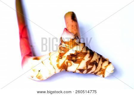 Fresh Galangal Rhizomes On White Isolated
