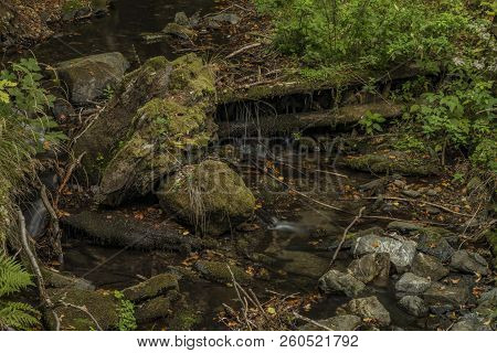 Creek In Kouty Nad Desnou Village In Summer Day In Moravia Region