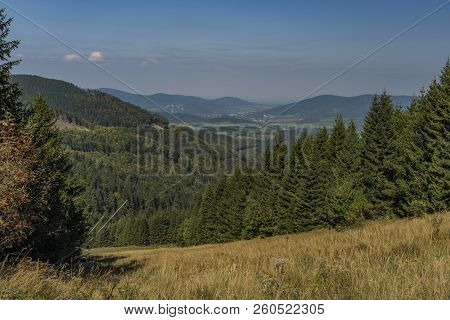 Forest In Jeseniky Mountains In Summer Sunny Nice Day