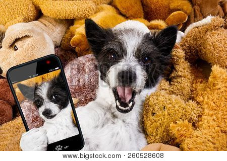 Dog Resting  Having  A Siesta  On His Bed With His Teddy Bears,   Tired And Sleepy, Taking A Selfie 