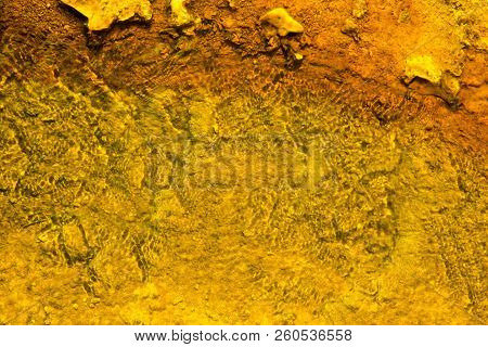 West Thumb Geyser Basin Copper And Yellow, Yellostone National Park, Wyoming