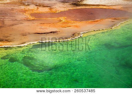 West Thumb Geyser Basin Coppe, Greenr And Yellow, Yellostone National Park, Wyoming