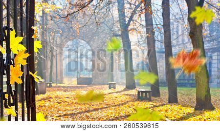 Autumn Colonade With A Gateway And Yellow Blades