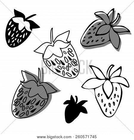 Vector Design With Stylized Image Of Strawberry. In Black And White Style. Can Be Used For Printing 