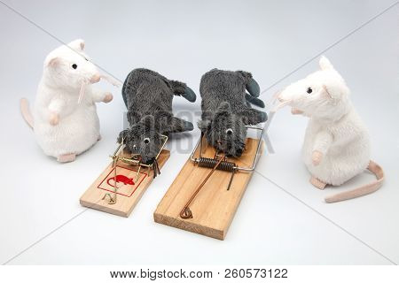 Four Mice And Two Mousetraps On White Background
