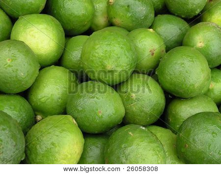  nassen limes