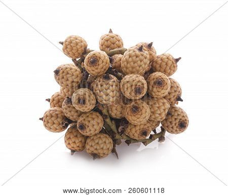 Rattan Palm Fruit Isolated On White Background