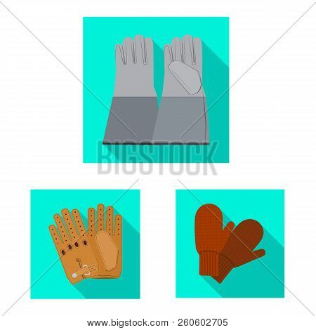 Vector Design Of Glove And Winter Logo. Collection Of Glove And Equipment Vector Icon For Stock.