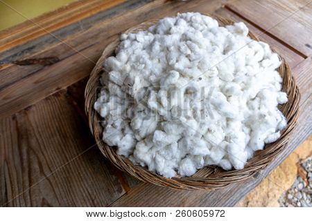Fluffy Cottons Or Pudding, A Raw Material Use For Produce Fabric, Garment Or Cloth. Cottons In The B