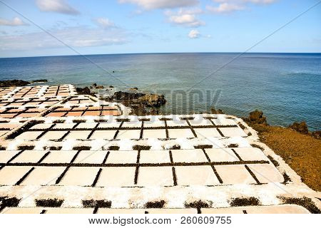 Picture Photo Of Salt Flats In The Canry Islands