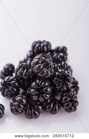 Phytolacca Americana On A White Acrylic Background