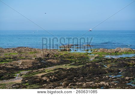Rocks With Seaweed And Atlantic Ocean View In Les Sables D Olonne In Vendee France