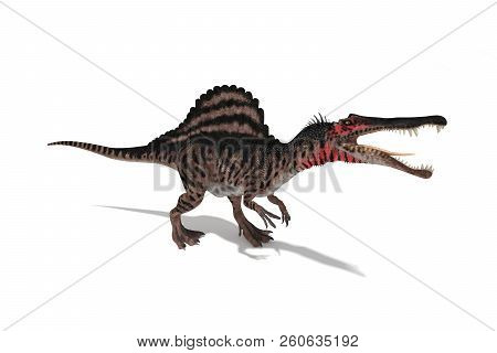 Spinosaurus Set Of Angles On A White Background 3d Illustration