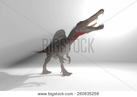 Spinosaurus Set Of Camera Angles In Fog 3d Illustration
