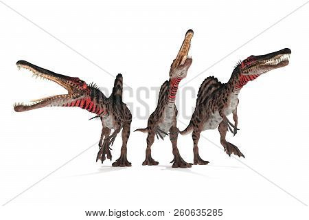 Group Of Spinosaurus On White Background 3d Illustration