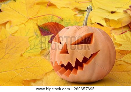 Jack's Head Of A Lantern Carved From Pumpkin For Halloween