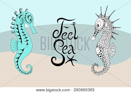Two Seahorses And The Calligraphic Inscription With Feel