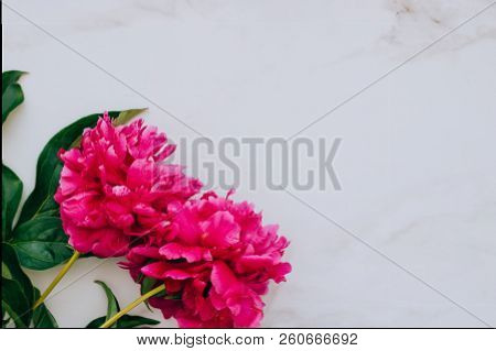 Flowers. Pink Peony On The Merble Table