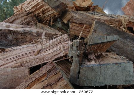 Feu de bois