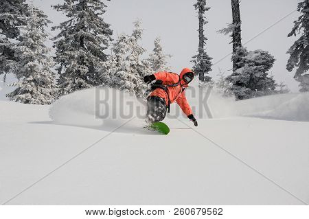 Snowboarder Dressed In Orange Sportswear Riding Down The Powder Mountain Hill Among Fir Trees On Clo