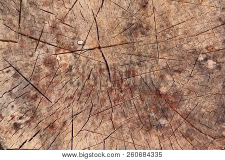 Wooden Texture Brown Background. Abstract Pattern Of Tree.