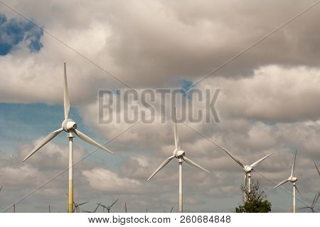 Large View On The Windmills On The Field