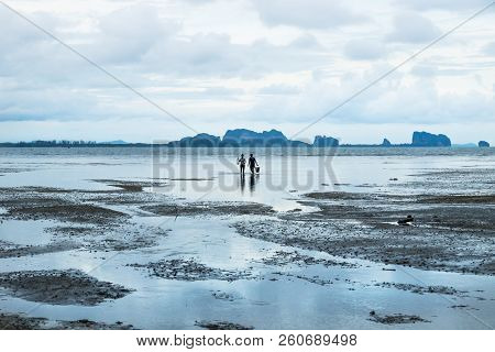 Koh Mook, Thailand - May 15 2017: Couple Looking For Seafood During Low Tide In Ocean With Carst Mou