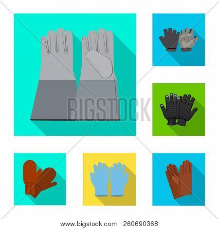 Vector Design Of Glove And Winter Icon. Collection Of Glove And Equipment Stock Symbol For Web.