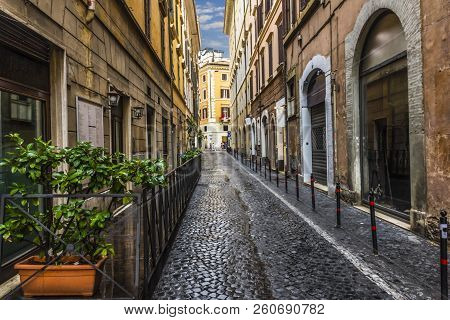 Empty Italian Street With Stone-pavement, Trees And Blue Sky