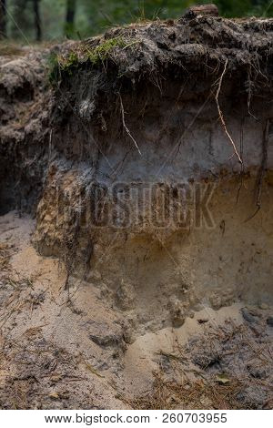 Layers Of Podzol Soil