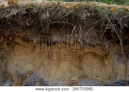 Layers Of Podzol Soil