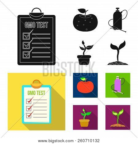 Isolated Object Of  And  Symbol. Set Of  And  Vector Icon For Stock.