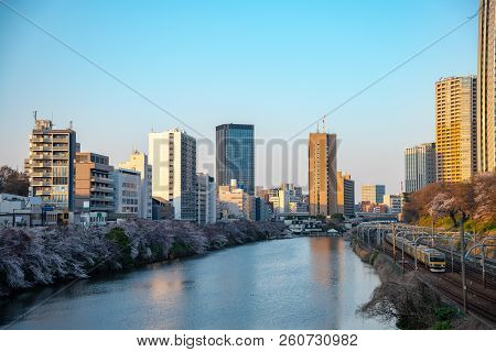 Cherry Blossom Around Sotobori Park, Tokyo, Japan.
Sotobori Park Is Famous Cherry Blossoms Spot That