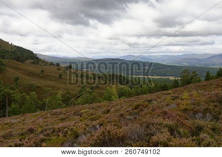 View From East Side Of Glen Feshie Above Balachroick, Across River Feshie, Insh Marsh To Kingussie &