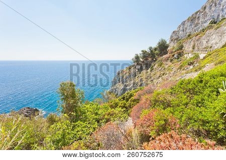 Apulia, Leuca, Italy, Grotto Of Ciolo - Vegetation At The Coastline Of Grotto Ciolo