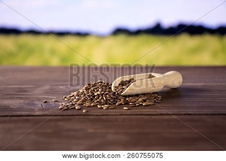 Lot Of Whole Fresh Brown Flaxseeds With Wooden Scoop With Green Wheat Field In Background