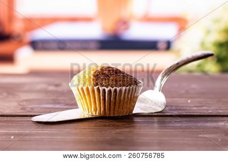 One Whole Fresh Baked Marble Muffin On Silver Cake Server With Books Near The Window In Background