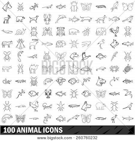 100 Animal Icons Set In Outline Style For Any Design Illustration