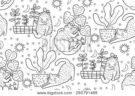 Hand Drawn Vector Seamless Pattern Cats Outline Drawing Illustration Monochrom. Coloring Book