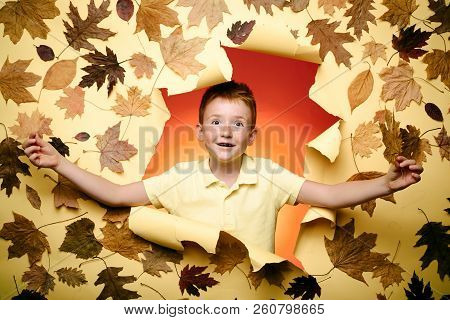 Cute Child Boy Holding Gold Leaf On Yellow Background. Smiling Boy Wearing In Fashionable Seasonal C