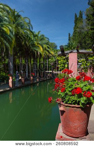 The Red Flowers In The Clay Pots And The Palms Is On The Bank Of The Reservoir. Pinya De Rosa Botani