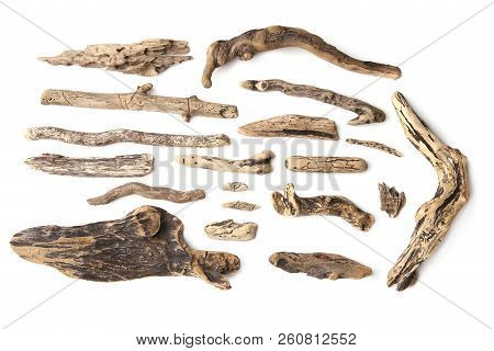 Set Of Driftwood Isolated On White Background. Pieces Of River Drift Wood.