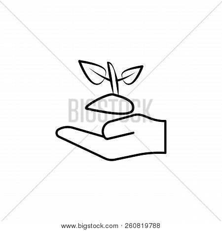 Hand Holding Up Plant Outline Icon. Element Of Simple Icon For Websites, Web Design, Mobile App, Inf