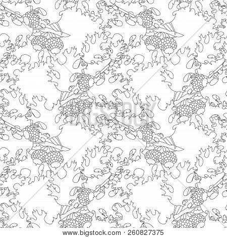 Oak Leaves, Fruits Monochrome Seamless Pattern With Black Outlines, Design Element Stock Vector Illu
