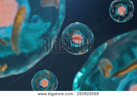 3d Illustration Cell Of A Living Organism, Scientific Concept. Illustration On A Blue Background. Th