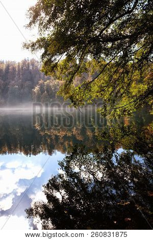 Gemunder Maar Volcanic Lakegemunder Maar Volcanic Crater Lake In Germany