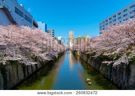 Meguro, Tokyo, Japan - March 25, 2018: Cherry Blossom Season In Tokyo At Meguro River, Japan.