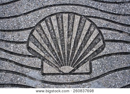 floor sea shell sign in la Toja island of Pontevedra Galicia Spain